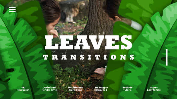 59684827-leaves-transitions.jpg