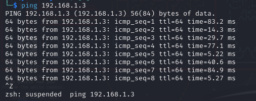 ping screenshot