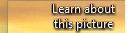 captured.jpg
