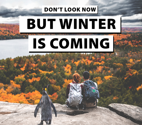 get-ready-penguin-fall-3.jpg