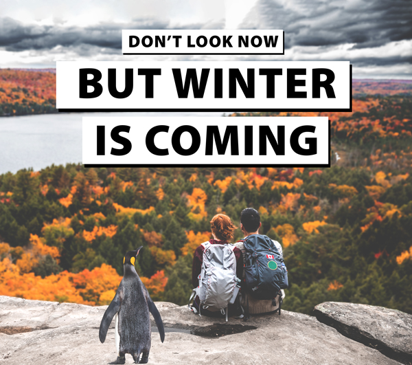 get-ready-penguin-fall-4.jpg