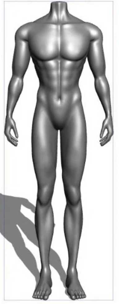 3d Athletic Male Body