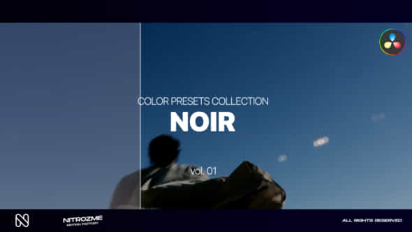 47700651-noir-lut.jpg
