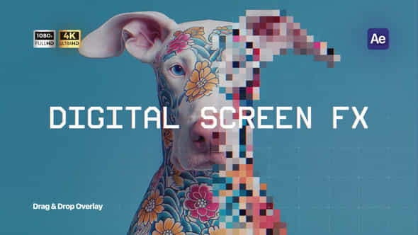 59144269-digital-screen.jpg