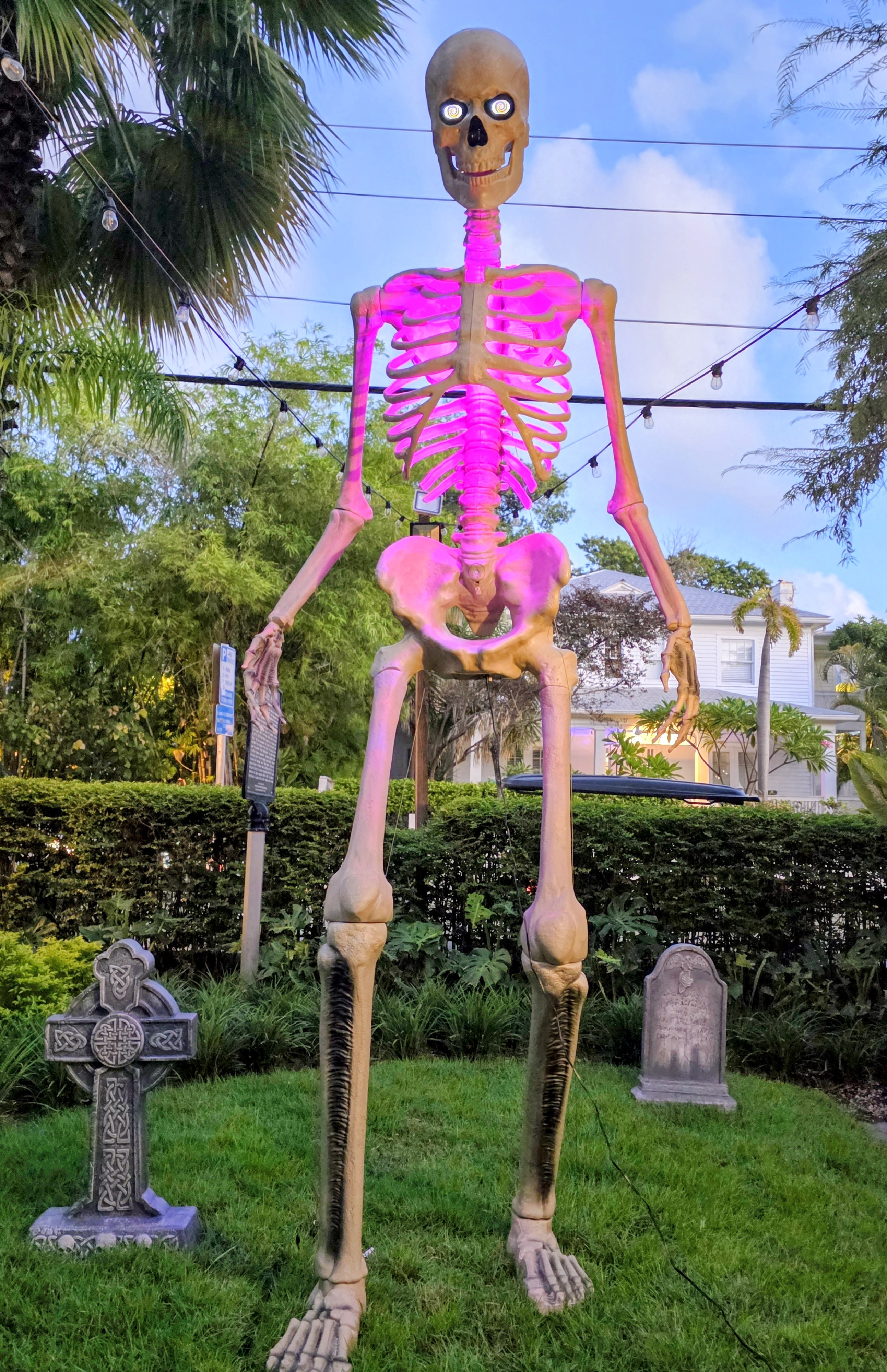 Key West Halloween .jpg