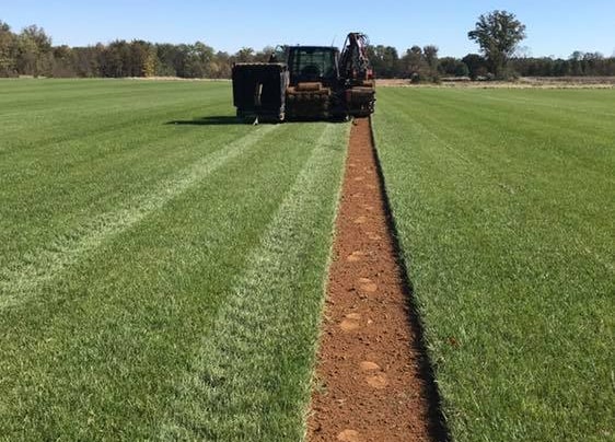 Sod Companies Leesburg