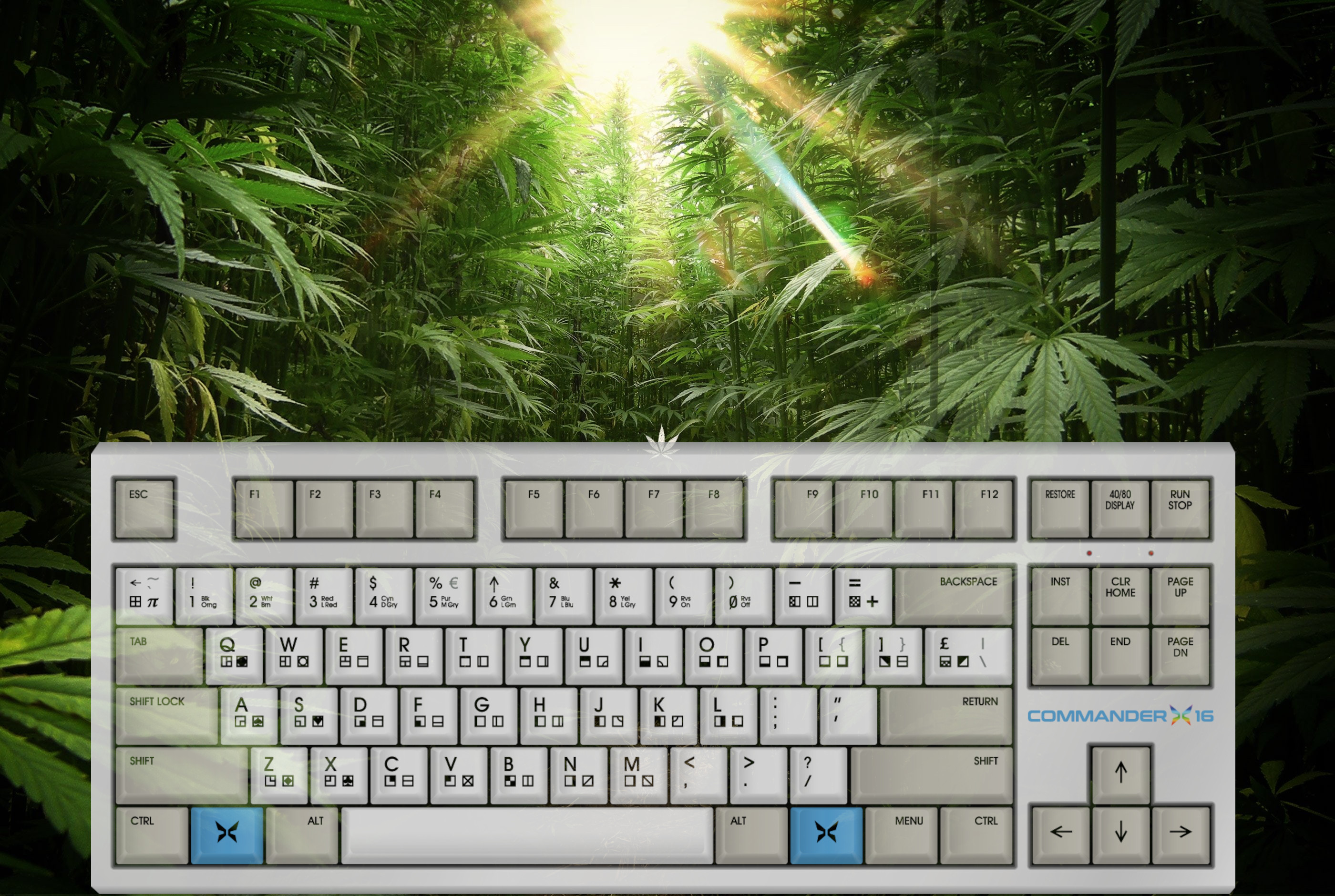 420-cannabis-drug-drugs-wallpaper-ff0ce2af7d795558c79d42d4d473f0c0kbd.jpg