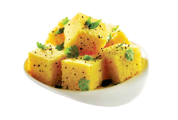 Khaman-Dhokla-isolated-png-no-background-Pngsource-NL6EINND.png
