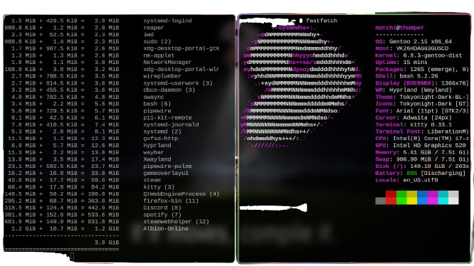 Loaded Gentoo