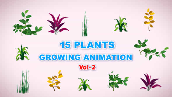 59175966-15-growing.jpg