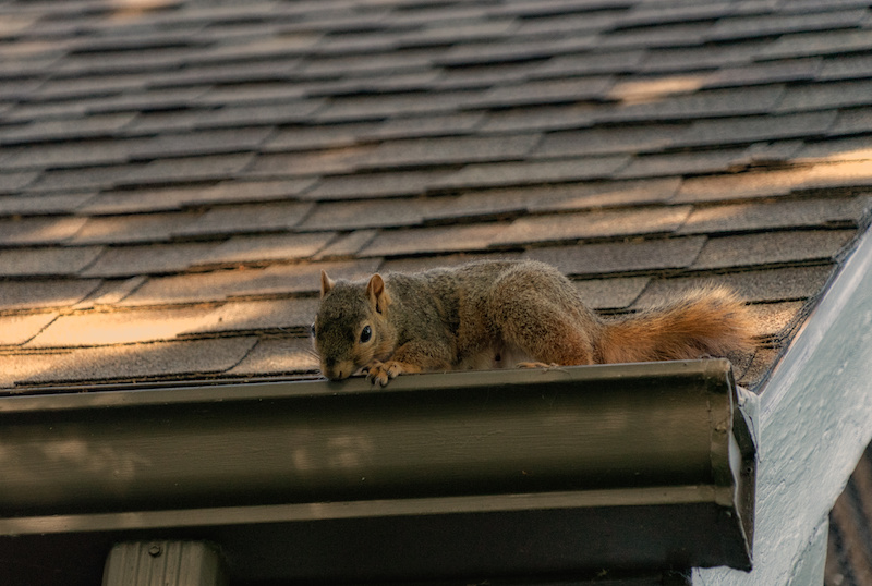 Top Roofing Companies North Liberty