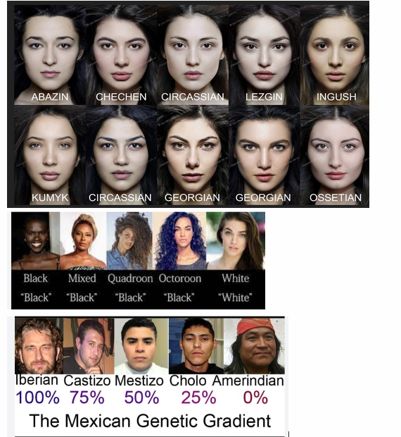 Race Realism