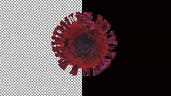 26308219-corona-virus.jpg
