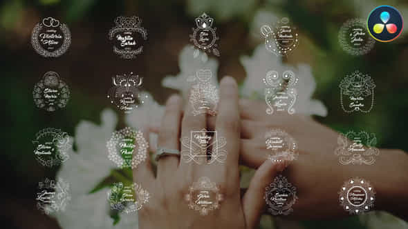 47660099-wedding-titles.jpg