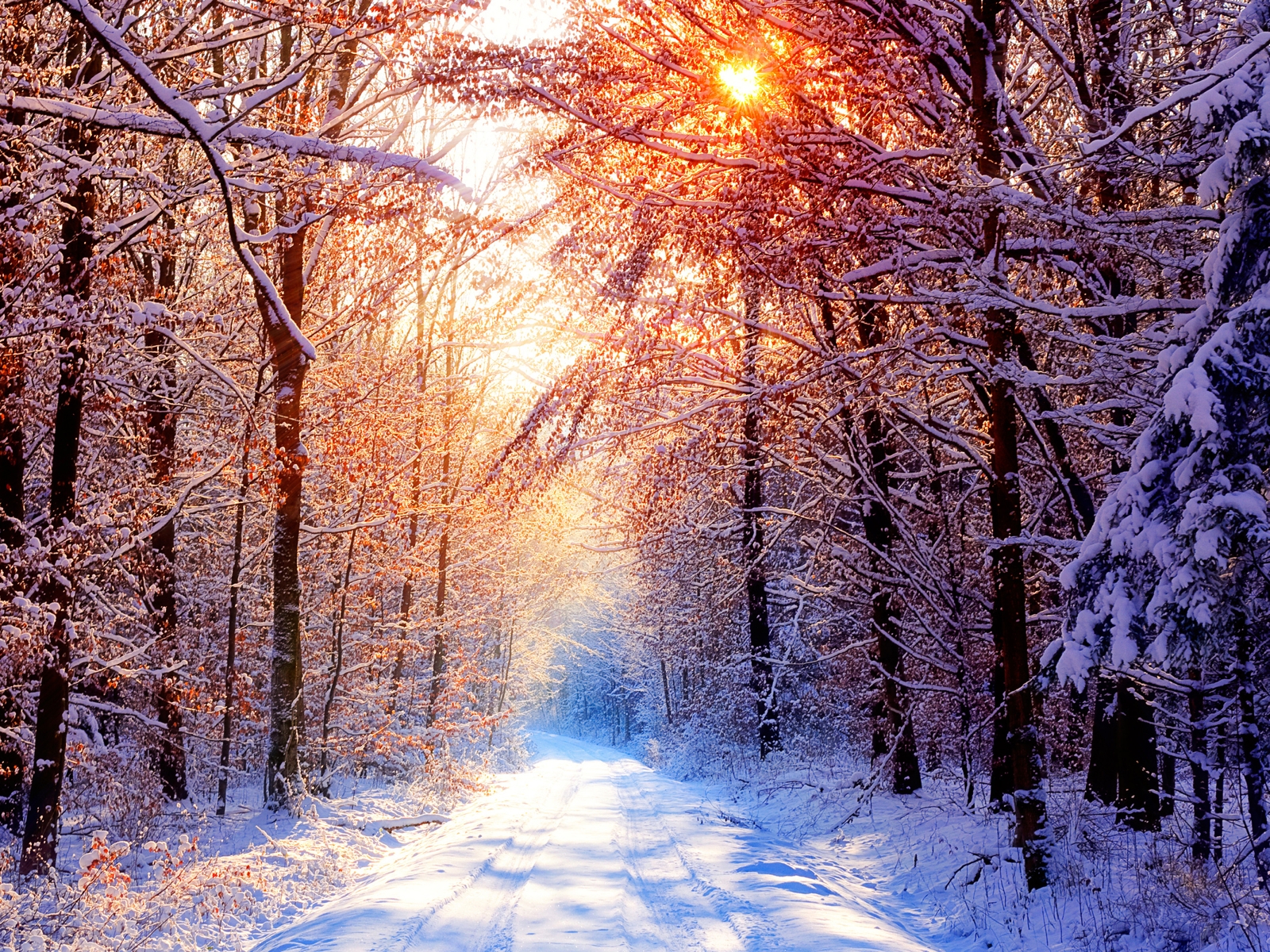 Download-Winter-HD-Desktop-Wallpapers.jpg