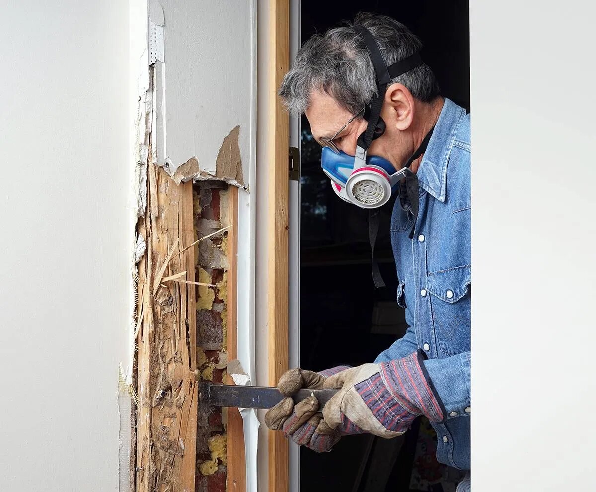 Professional Pest Control Greenville