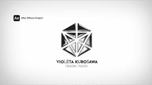 47744069-logo-reveal.jpg