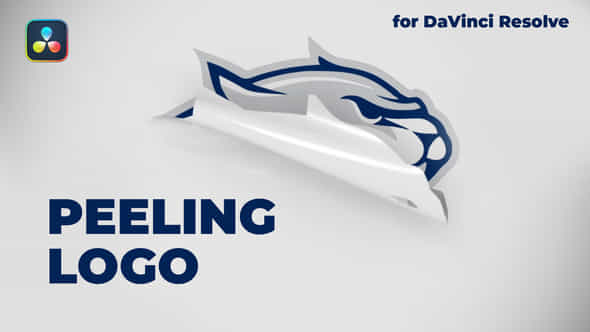 52736567-peeling-logo.jpg