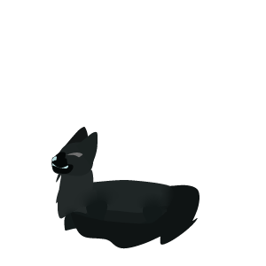 FogDog pup/larve