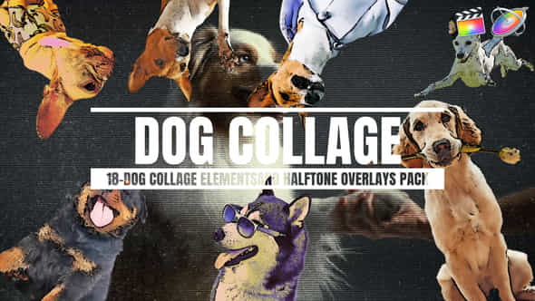 56676540-18dog-collage.jpg