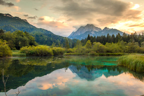 istockphoto-1094629964-612x612.jpg