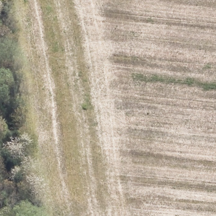 file