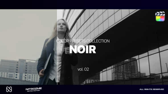 47794909-noir-lut.jpg