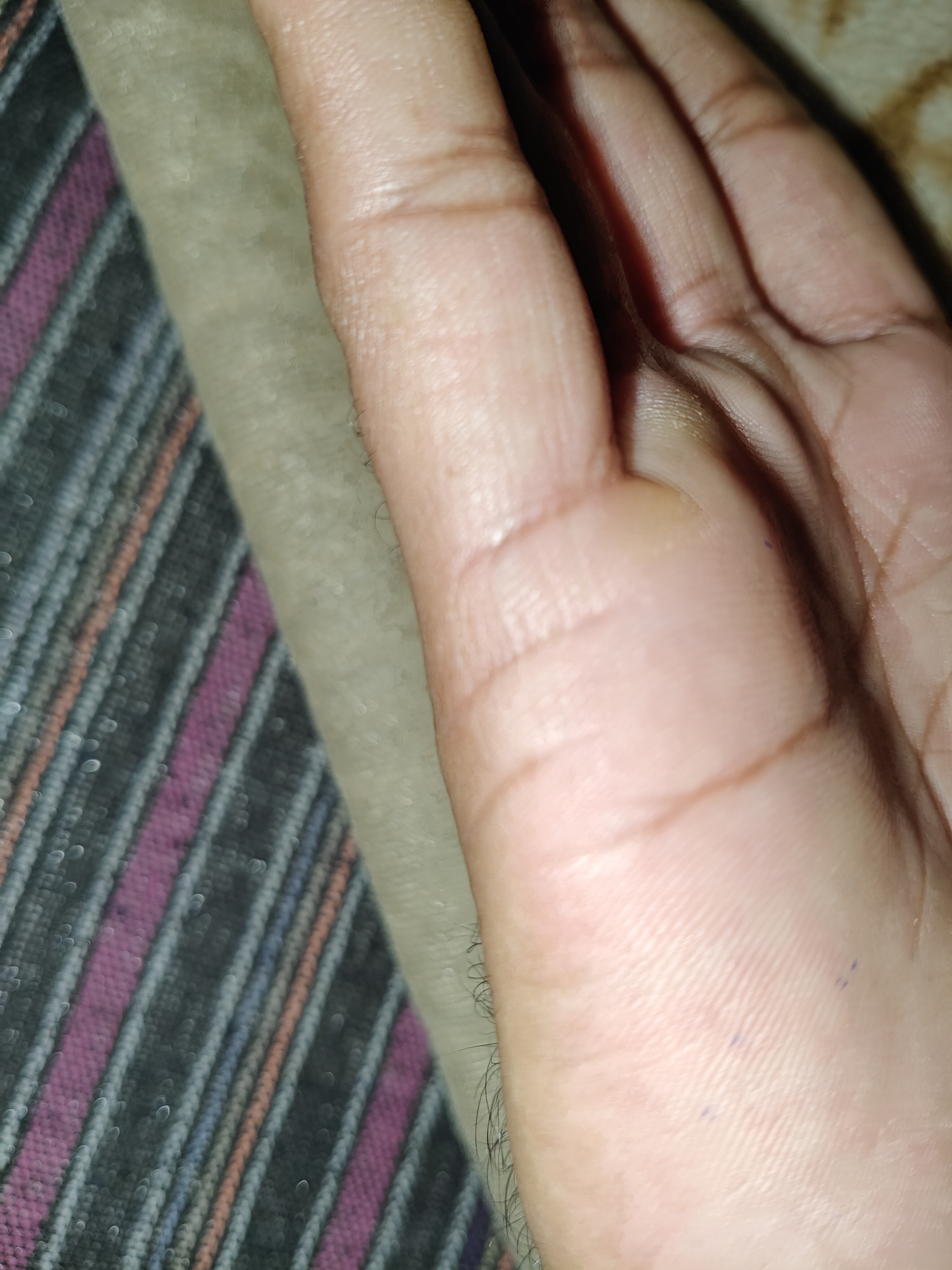IMG20250326230135.jpg