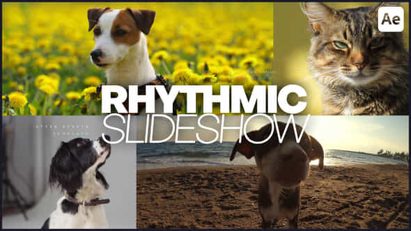 60071119-rhythmic-slideshow.jpg