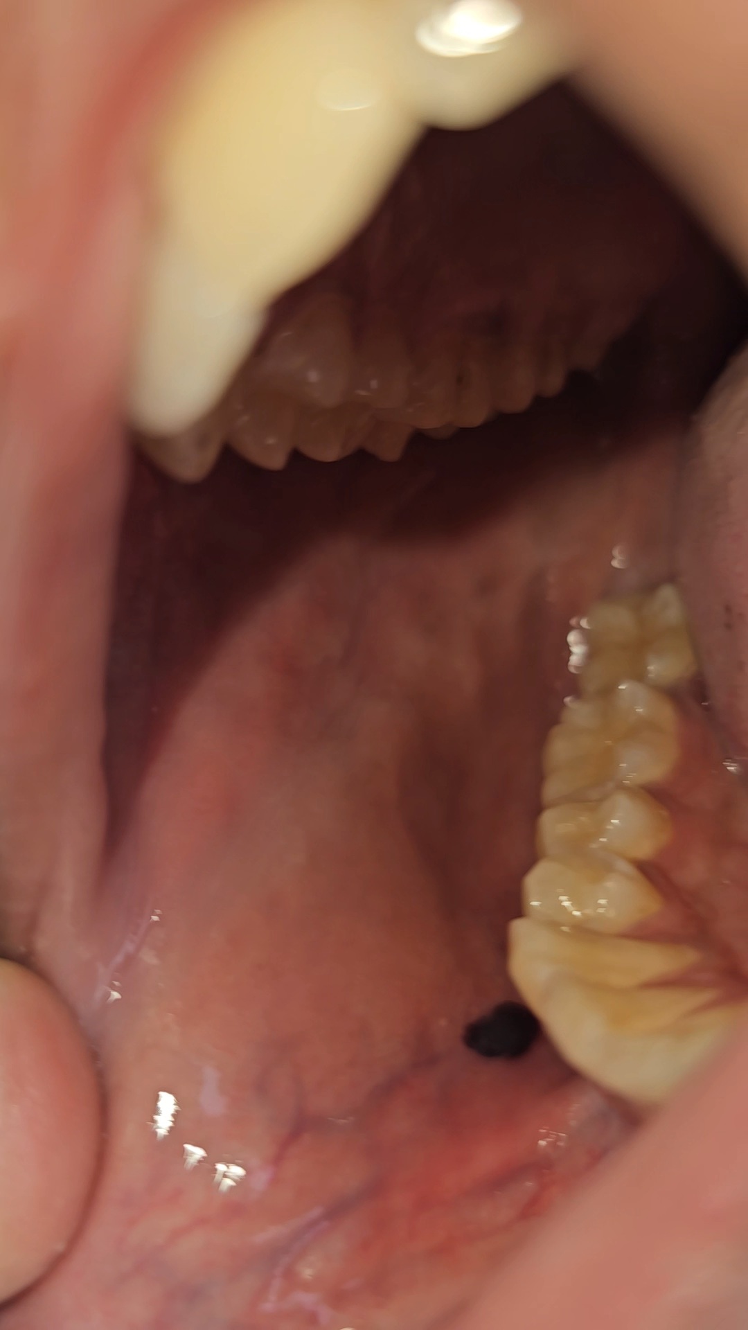 VideoCapture_20250404-085813.jpg