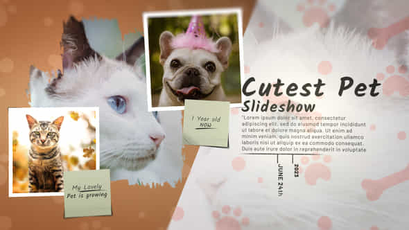 47336666-cutest-pet.jpg