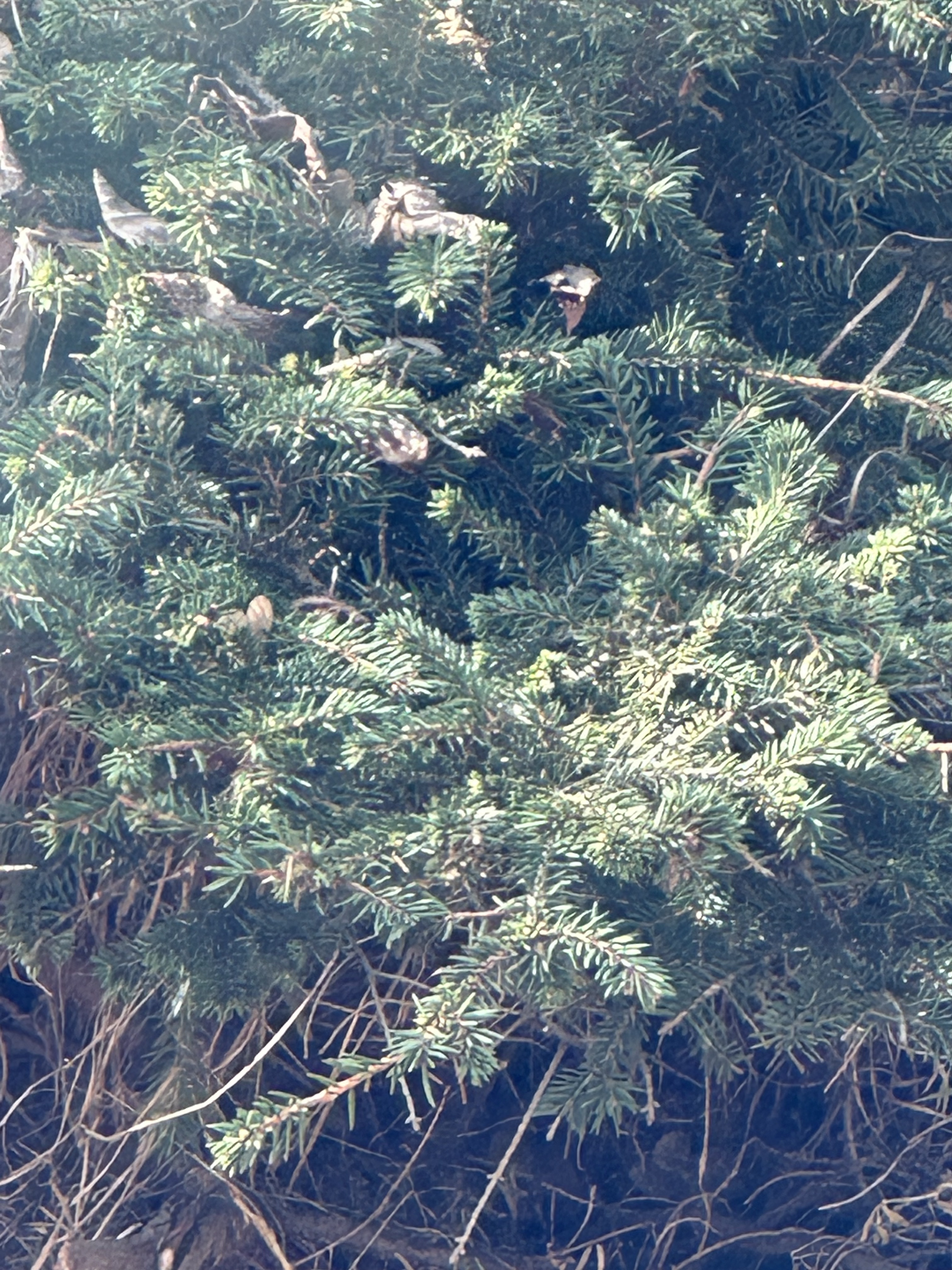 file.jpg