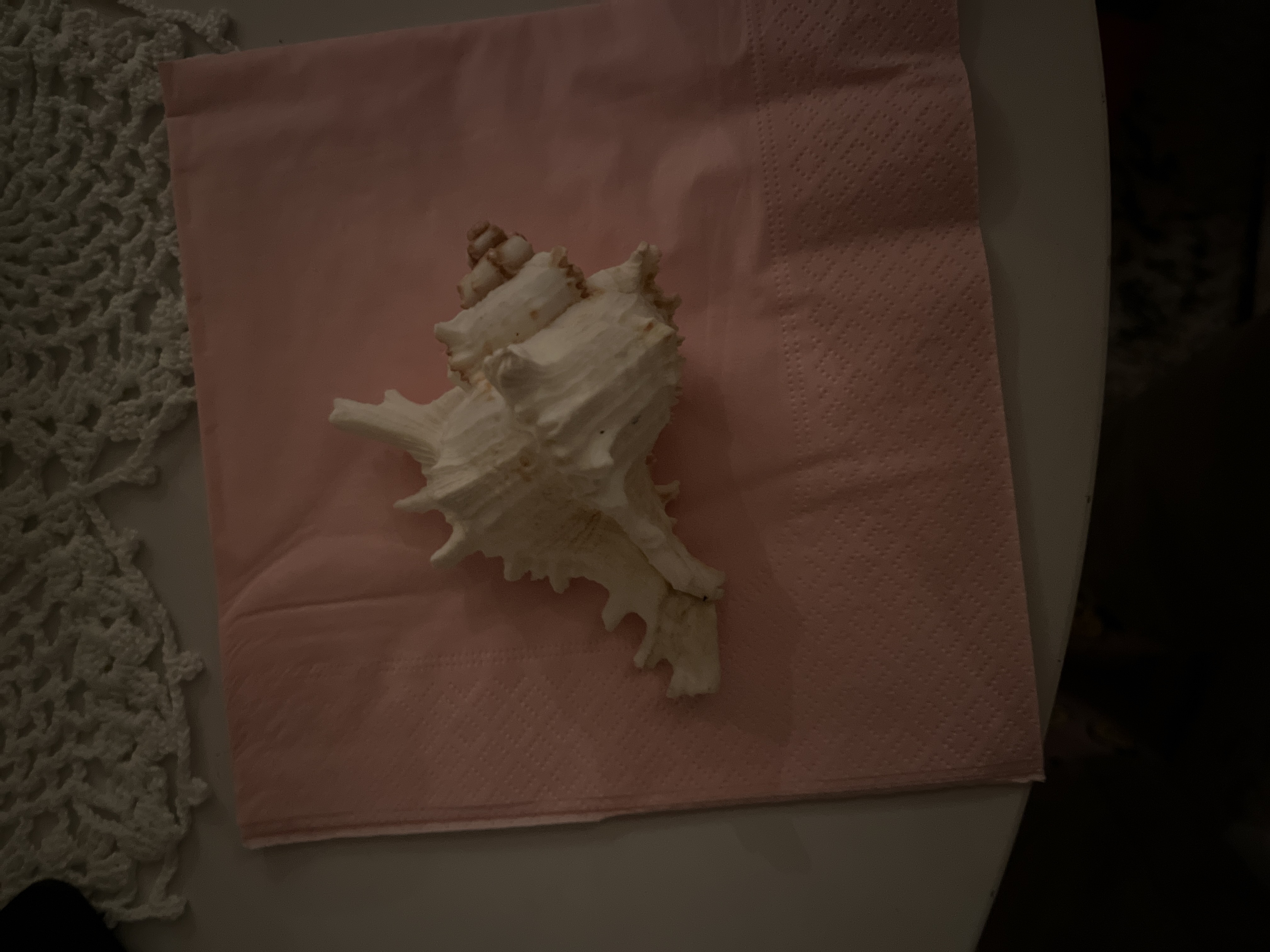 file.jpg