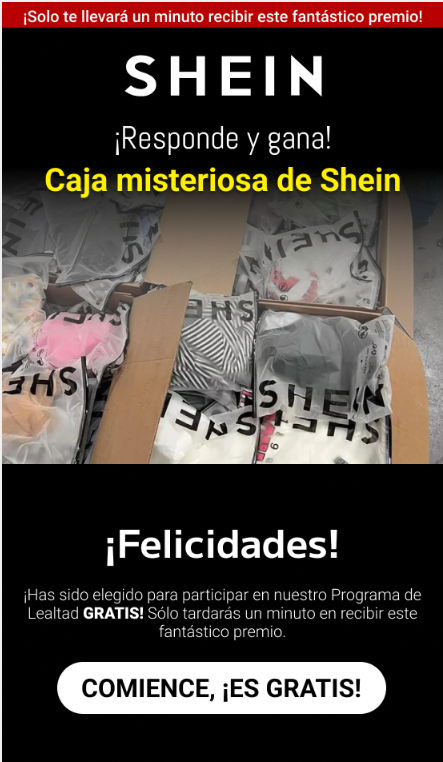 sheinmysterbox.PNG