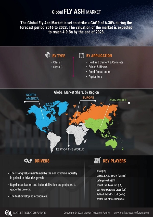 Fly Ash Market Size, Share & Growth 2025