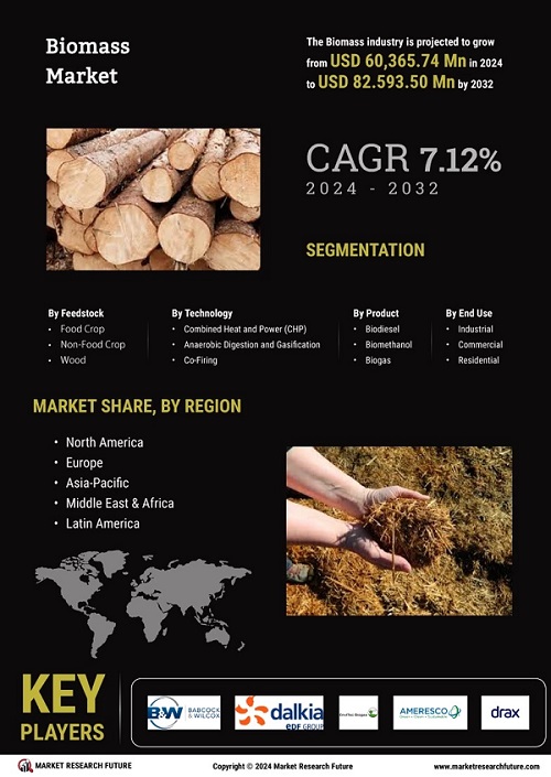 The Future of Biomass: Sustainable Growth in Renewable Energy