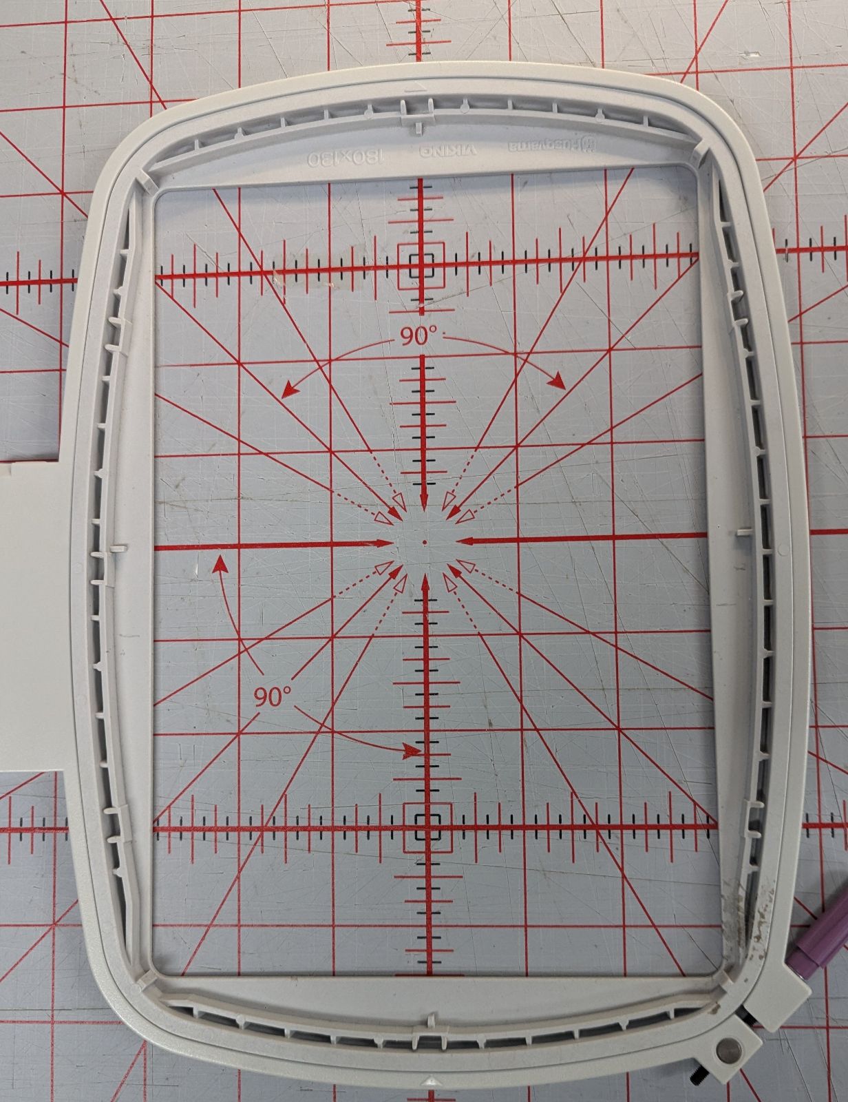 PXL_20250710_144949164.jpg