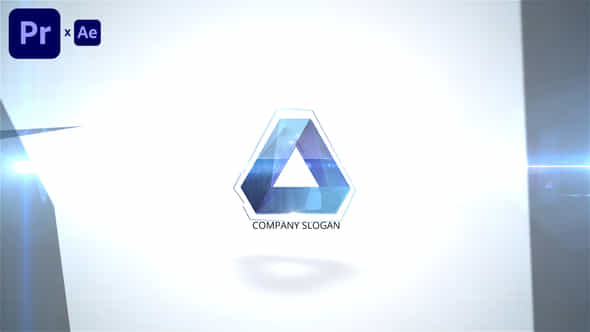47453453-flying-logo.jpg