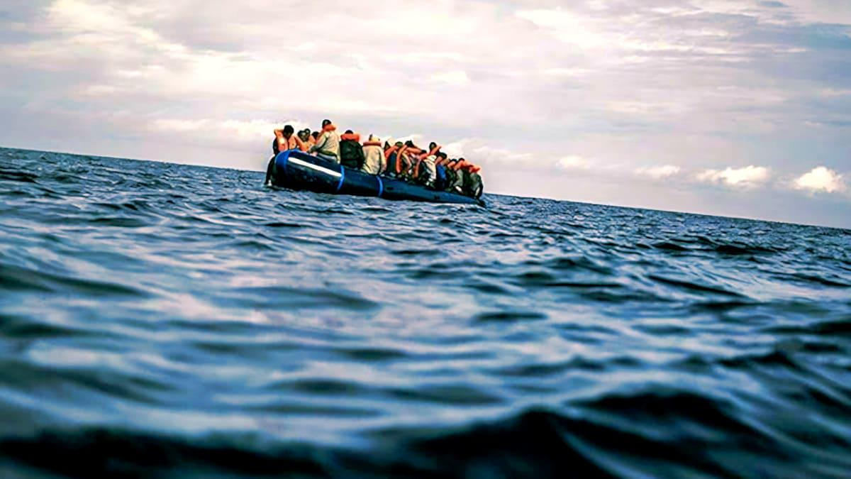 reddit post immigrazione
