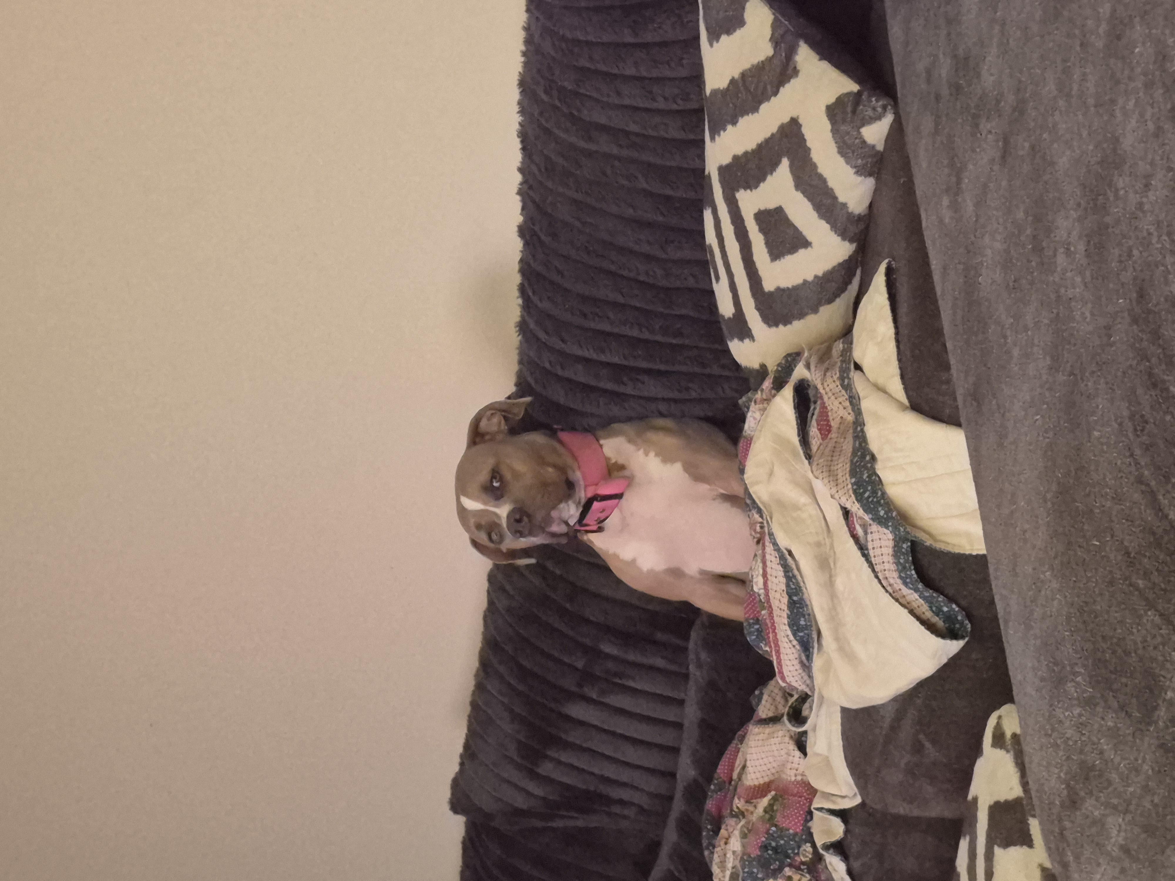 20251031_221721.jpg