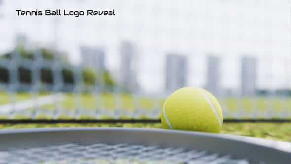 59281418-tennis-ball.jpg