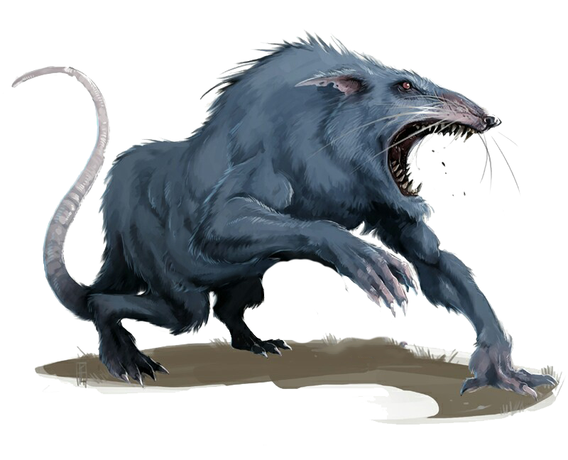 Dire Rat