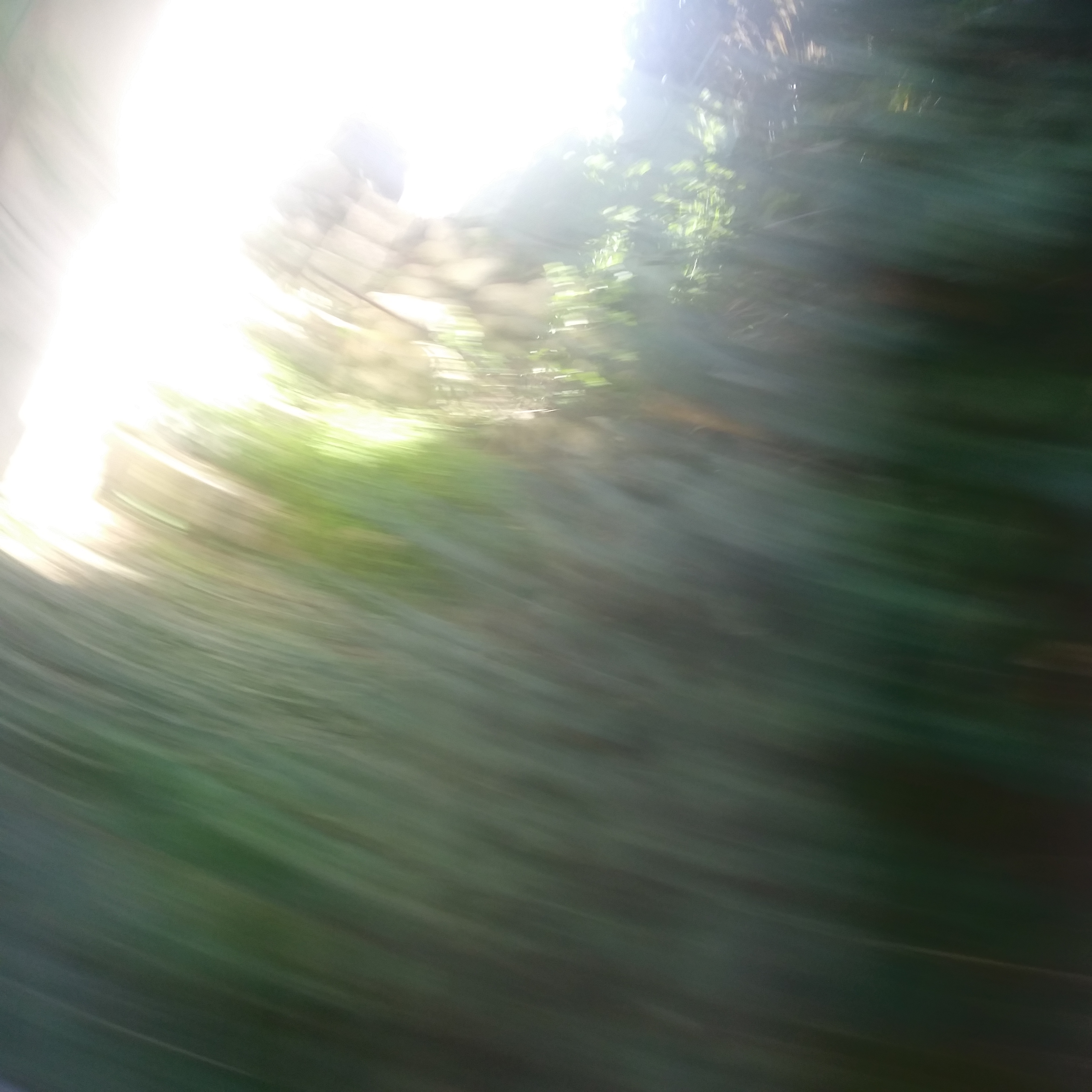 "Run"