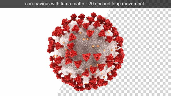 26082804-corona-virus.jpg