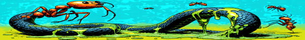 ants_eating_a_snake_melting_in_goop_psychedelic_r_crumb_style_20251204190650_011.png