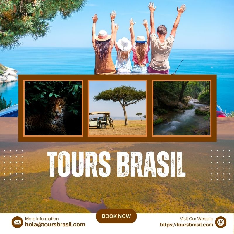 Observación de Jaguares en Pantanal: Experiencia Única con Tours Brasil