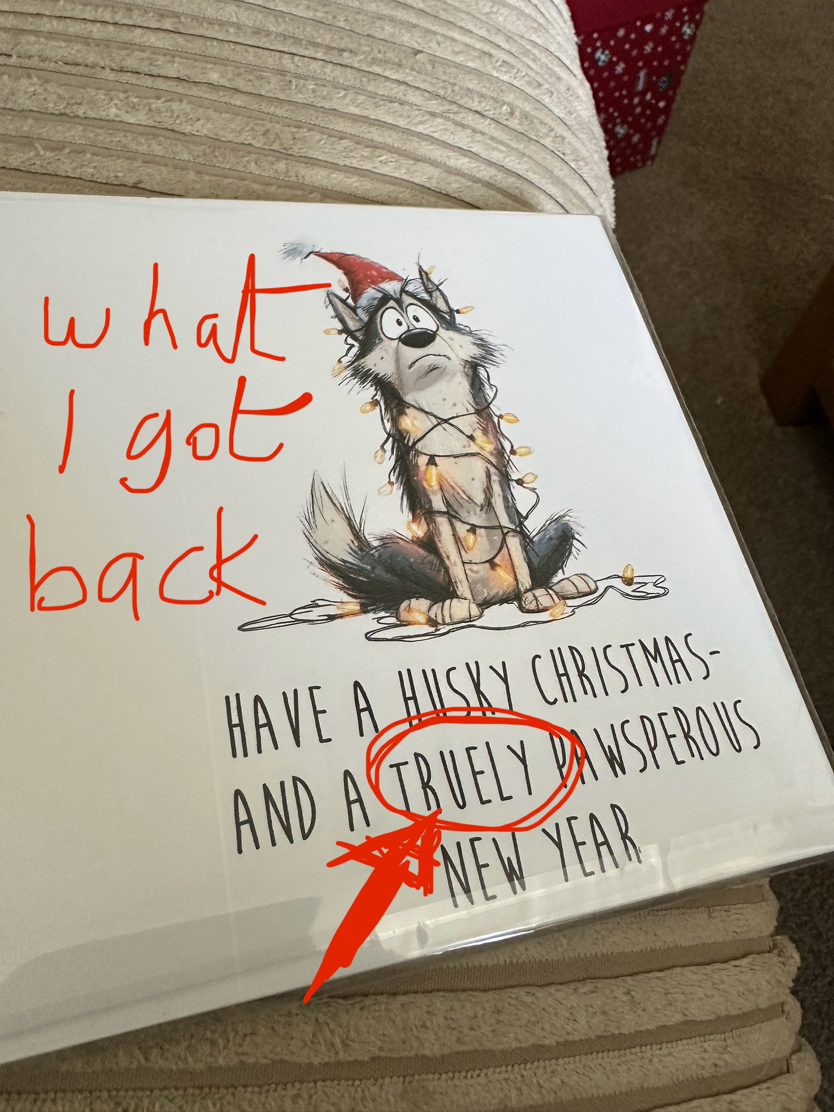 amazonwhatIgotback-card.jpg