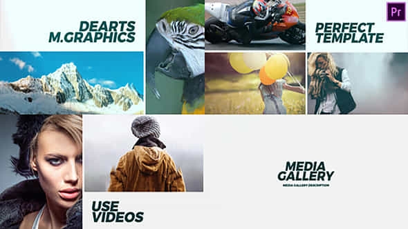 42079639-media-gallery.jpg