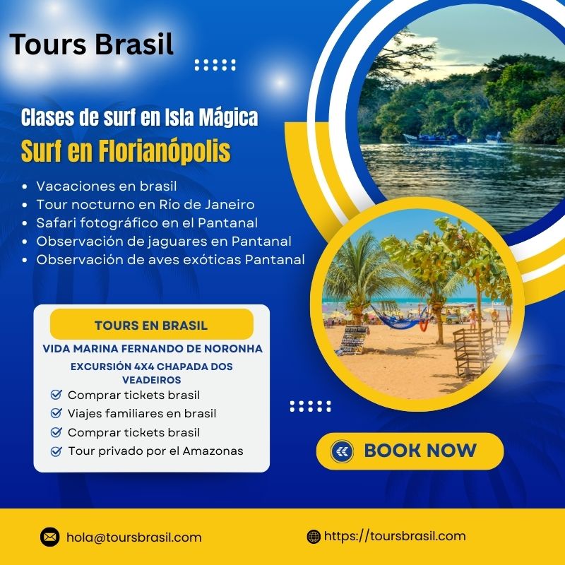 Descubre la Vida Marina en Fernando de Noronha – Tours Brasil