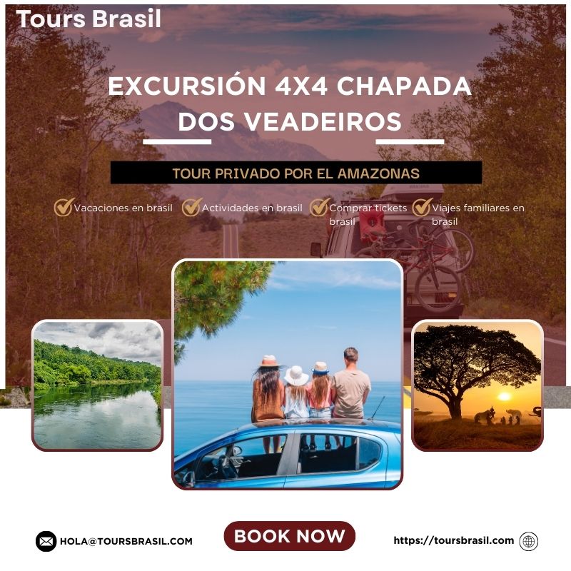Experiencia Única de Observación de Aves Exóticas – Tours Brasil